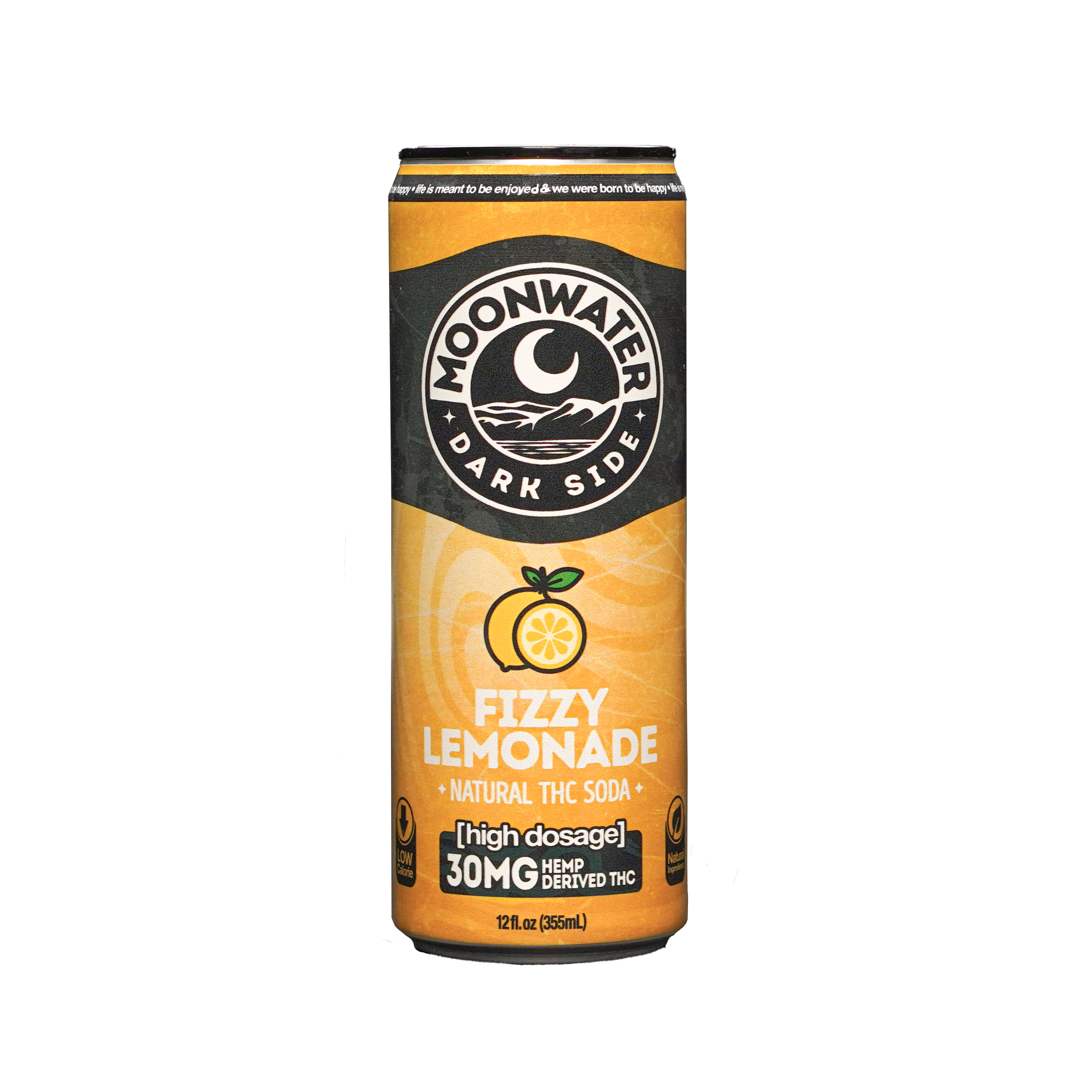 Fizzy Lemonade (4-pack, 24-pack)